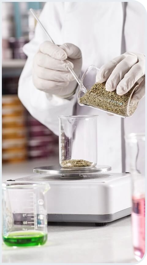 Domain Expertise in Materials Science